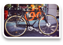 Papillionaire bike top price